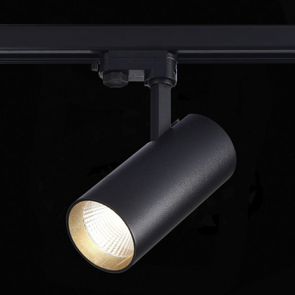 Фото Светильник на штанге ST-Luce Трехфазная трековая система ST661.446.40