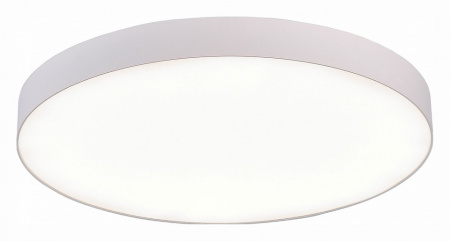 Фото Накладной светильник ST-Luce ST606 ST606.542.96