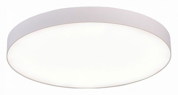 Фото Накладной светильник ST-Luce ST606 ST606.542.96