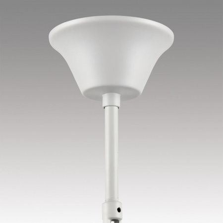 Фото Подвесная люстра Lumion Snow 8189/5