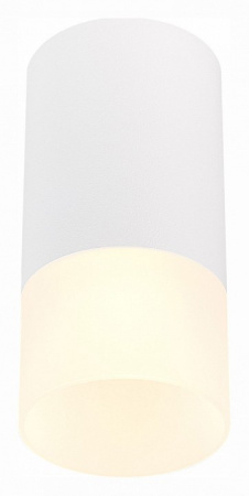 Фото Накладной светильник ST-Luce ST100 ST100.512.01