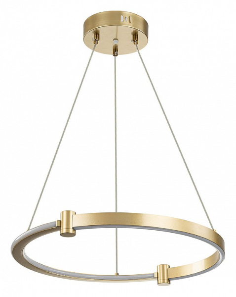 Открыть Подвесной светильник Indigo Circolato 14015/1P Gold Фото Подвесной светильник Indigo Circolato 14015/1P Gold