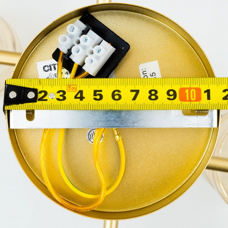 Фото Люстра на штанге Citilux Клод CL137142