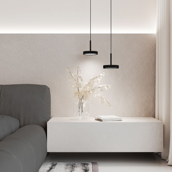 Фото Подвесной светильник Elektrostandard Plate a065411