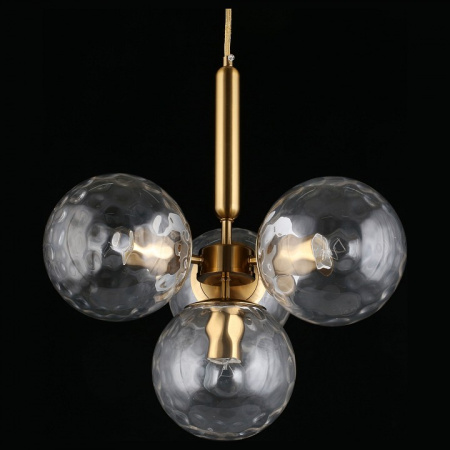 Фото Подвесная люстра Aployt Lora APL.728.06.04