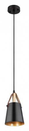 Открыть Подвесной светильник Arte Lamp Thomas A7032SP-1BK Фото Подвесной светильник Arte Lamp Thomas A7032SP-1BK