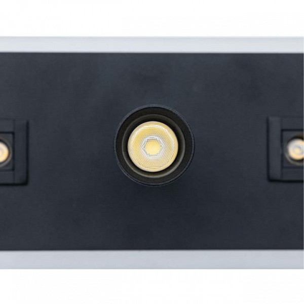 Фото Спот Arte Lamp Pisces A2220PL-3BK