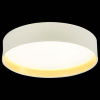 Открыть Накладной светильник EVOLUCE Brescia SLE300552-01 Фото Накладной светильник EVOLUCE Brescia SLE300552-01