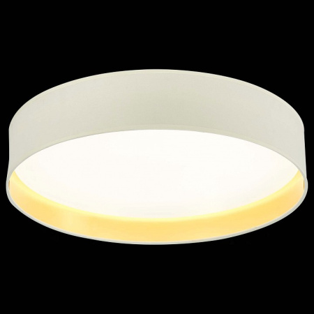 Открыть Накладной светильник EVOLUCE Brescia SLE300552-01 Фото Накладной светильник EVOLUCE Brescia SLE300552-01