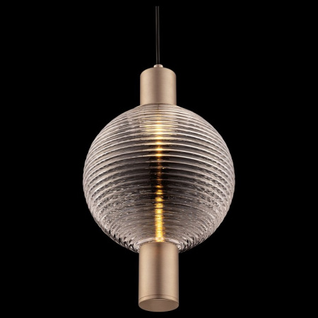 Фото Подвесной светильник Maytoni Rueca P060PL-01N