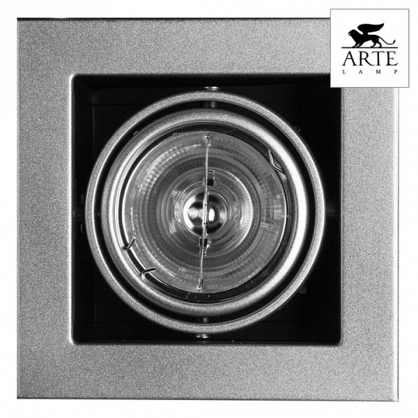 Открыть Встраиваемый светильник Arte Lamp Cardani Medio A5930PL-1SI Фото Встраиваемый светильник Arte Lamp Cardani Medio A5930PL-1SI