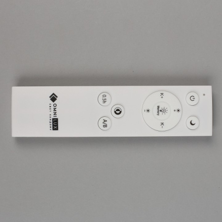 Фото Накладной светильник Omnilux Berkeley OML-43007-40