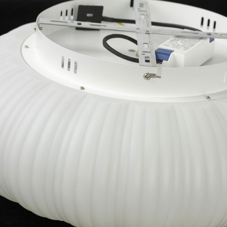 Открыть Накладной светильник Lussole Claudia LSP-0921 Фото Накладной светильник Lussole Claudia LSP-0921