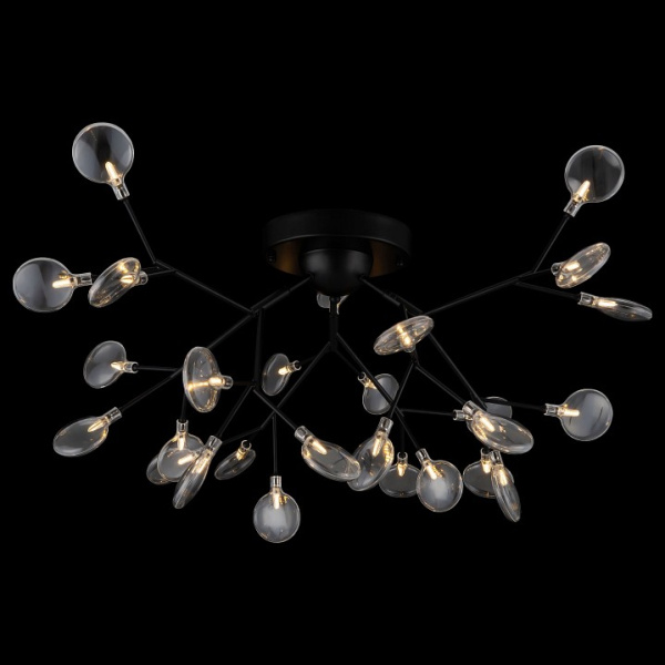 Фото Потолочная люстра Freya Florencia FR5049CL-27B