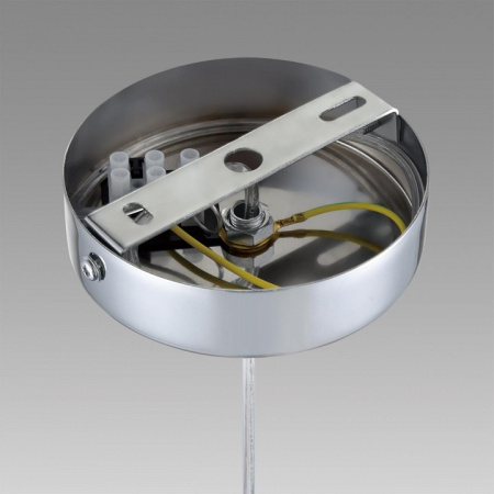 Фото Подвесной светильник Lumion Isha 8102/1A