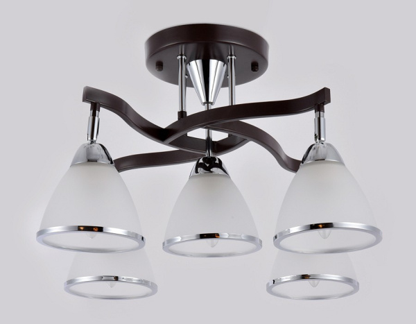 Фото Потолочная люстра Ambrella Light TR TR3113