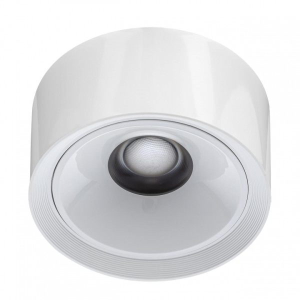 Фото Накладной светильник Citilux Rover CL743060N