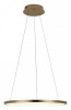 Фото Подвесной светильник Loft it Ring 10014M