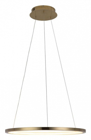 Фото Подвесной светильник Loft it Ring 10014M