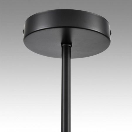 Фото Люстра на штанге Lumion Tidina 8238/6C