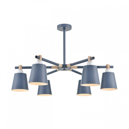 Фото Люстра на штанге Lumion Rosalina 8098/6C