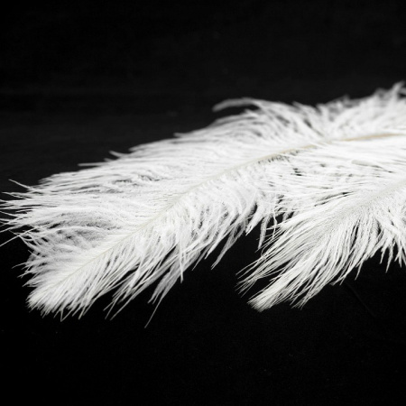 Фото Подвесной светильник Lussole Cuscino GRLSP-8600