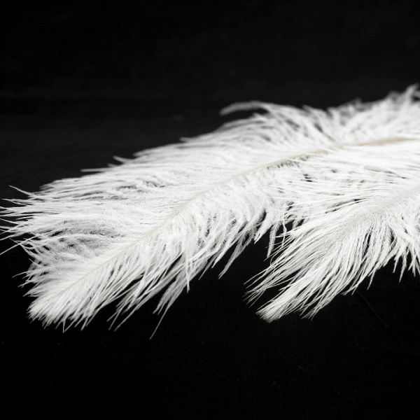 Фото Подвесной светильник Lussole Cuscino GRLSP-8600