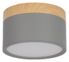 Накладной светильник Loft it Grape 10162 Grey Накладной светильник Loft it Grape 10162 Grey