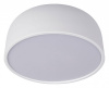 Открыть Накладной светильник Loft it Axel 10201/350 White Фото Накладной светильник Loft it Axel 10201/350 White
