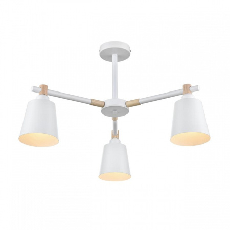 Фото Люстра на штанге Lumion Rosalina 8097/3C