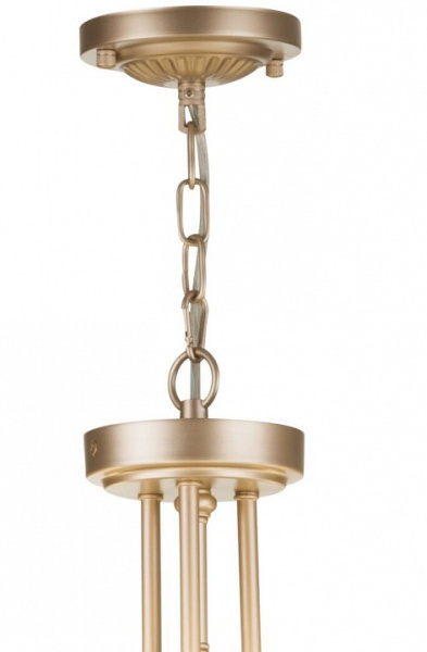 Фото Подвесной светильник Maytoni Roma ARM006PL-06G