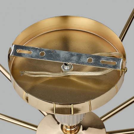 Фото Люстра на штанге Lumion Vivien 6580/7C