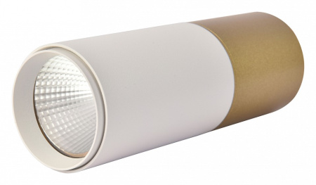 Фото Накладной светильник Favourite Deepak 3073-1C