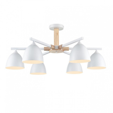 Фото Люстра на штанге Lumion Colange 8095/6C