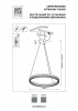 Фото Подвесной светильник Lightstar Rotonda 736161