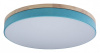 Открыть Накладной светильник Loft it Axel 10001/36 Blue Фото Накладной светильник Loft it Axel 10001/36 Blue