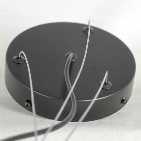 Фото Подвесная люстра Lussole LSP-875 LSP-8750