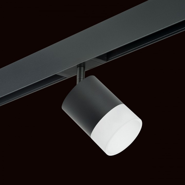 Фото Светильник на штанге Lightstar Rullo PRO348781