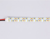 Открыть Лента светодиодная Ambrella Light GS GS1601 Фото Лента светодиодная Ambrella Light GS GS1601