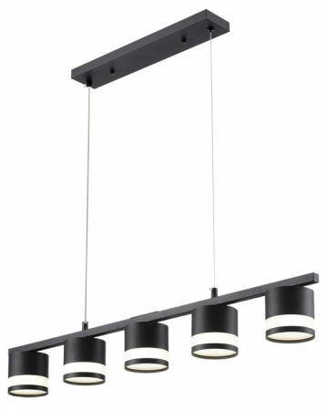 Фото Подвесной светильник Lumion Lanika 8240/5