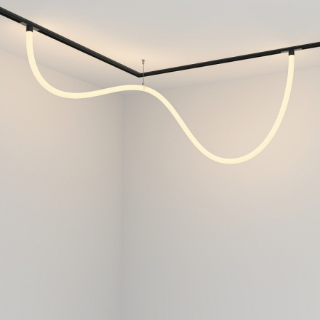 Фото Подвесной светильник Maytoni Tau TR101-2-50W3K-B