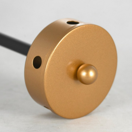 Фото Люстра на штанге Lussole Durham LSP-8796