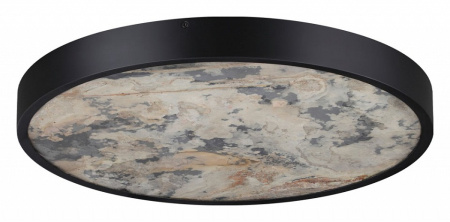 Фото Накладной светильник Odeon Light Bergi 5064/40L