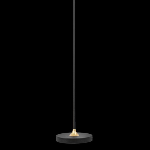 Фото Торшер Lightstar Acrile 738773