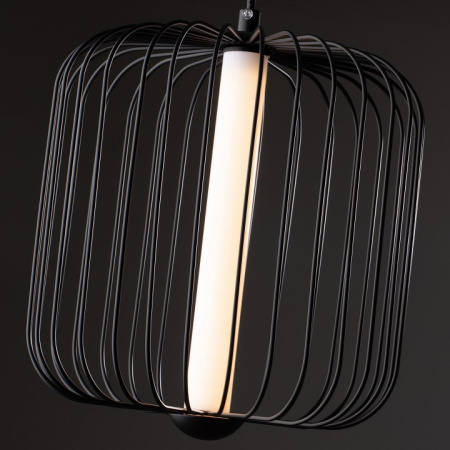 Фото Подвесной светильник Freya Sabi FR6131PL-L13B