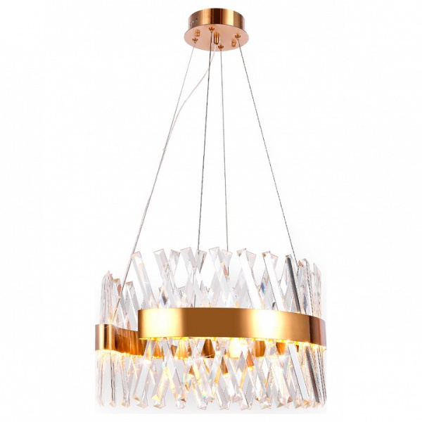 Фото Подвесной светильник Ambrella Light TR TR5309