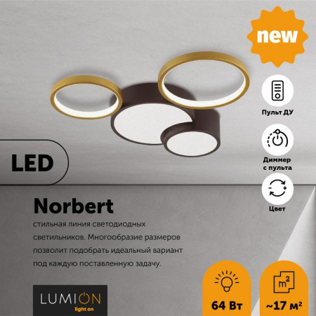 Фото Потолочная люстра Lumion Norbert 5255/64CL