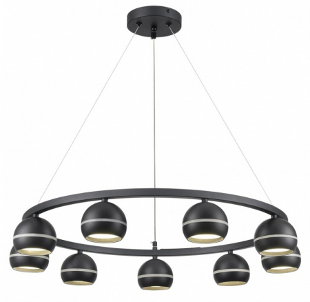 Фото Подвесная люстра Lumion Luazana 8242/9