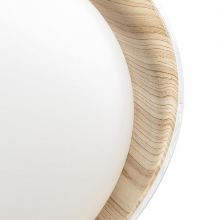 Фото Накладной светильник Citilux MEGA CL752452G