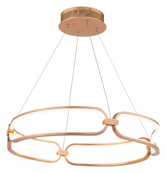 Фото Подвесной светильник Maytoni Chain MOD017PL-L50MG